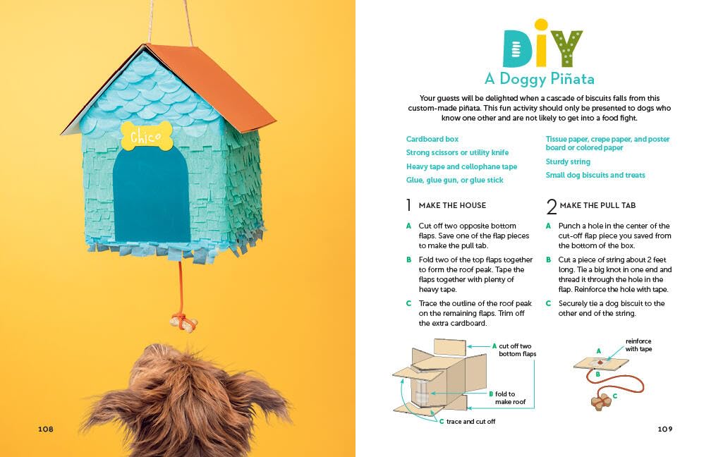 A Kid's Guide to Dogs: How to Train, Care for, and Play and Communicat