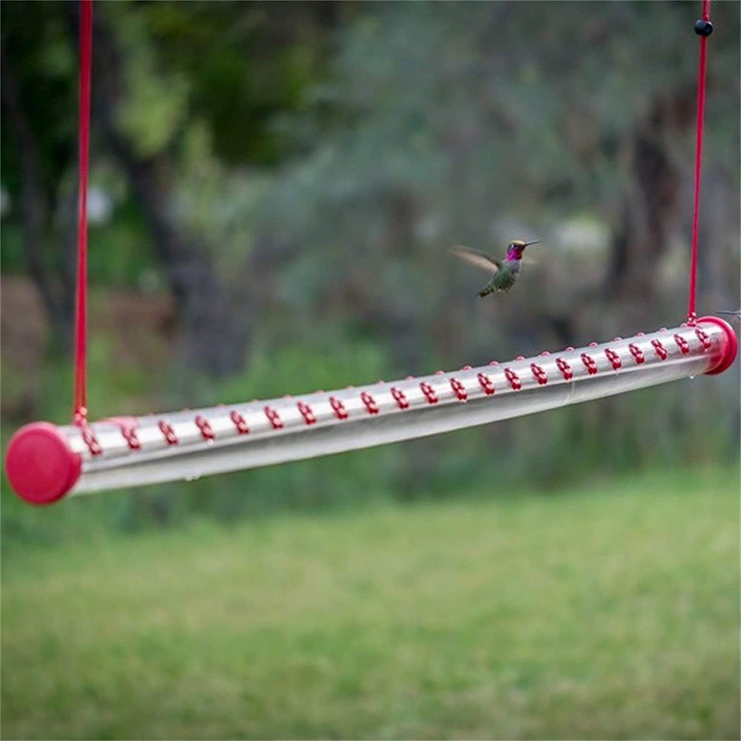 Hummingbird Feeder Transparent Tube Horizontal Hummingbird Feeders for Outdoors Hanging with Hole Birds Feeding Transparent Pipe Best Hummingbird Feeder (20 inch, 16 inch, 24 inch)