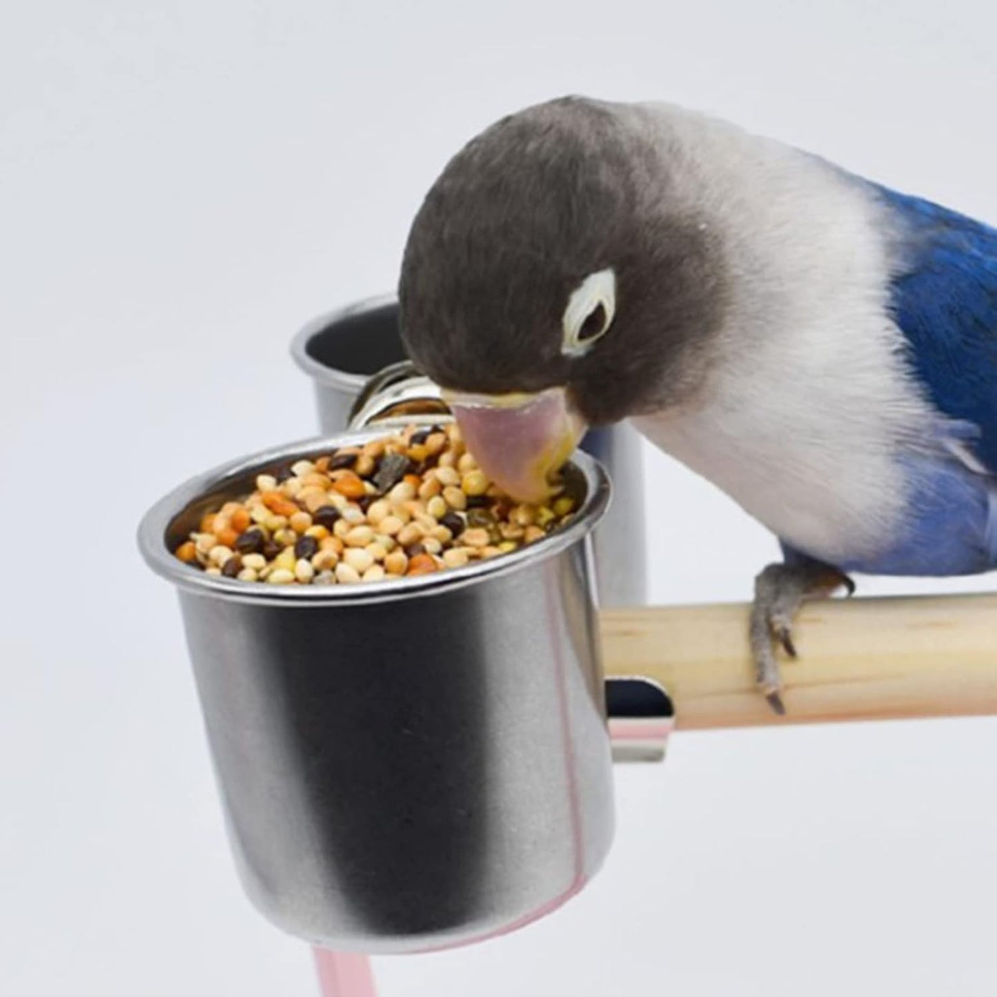 2pcs Steel Bird Feeder Steel Cup Food Bowl Container Parrot Parakeets Cage Hanging Bowl Water Food Dish Bird Supplies Bird Feeder for Cages Portable with Hook