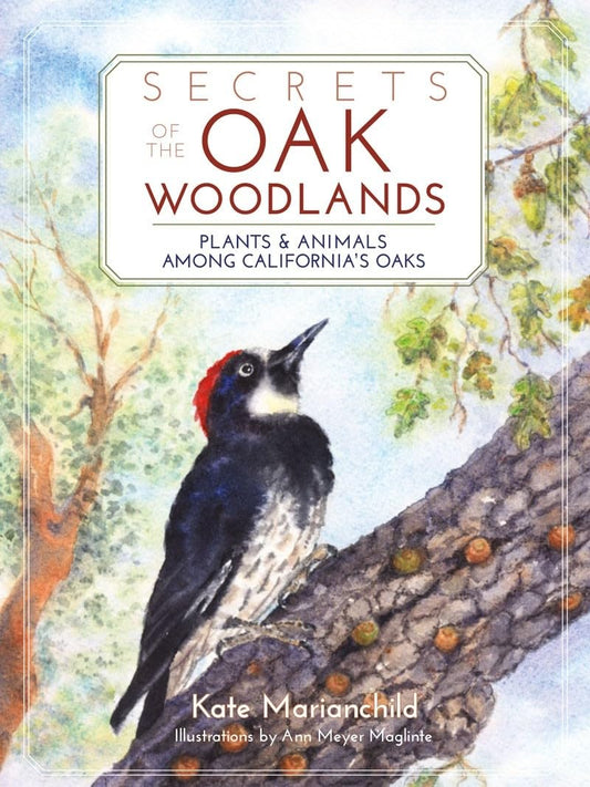 Secrets of the Oak Woodlands: Plants and Animals among California's Oa