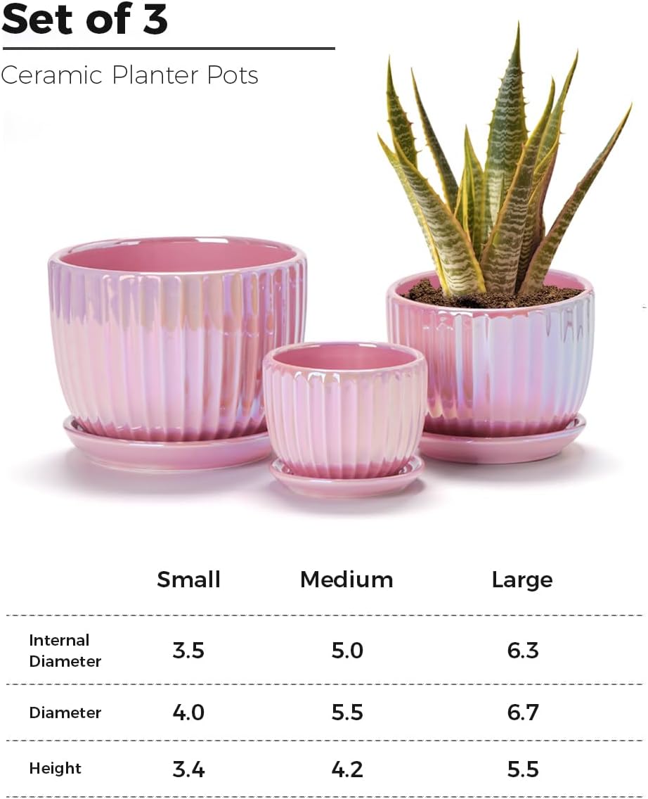 Ton Sin Pink Gold Ceramic Flower Pots, 4"+5"+6" Inch Small Glazed Succ