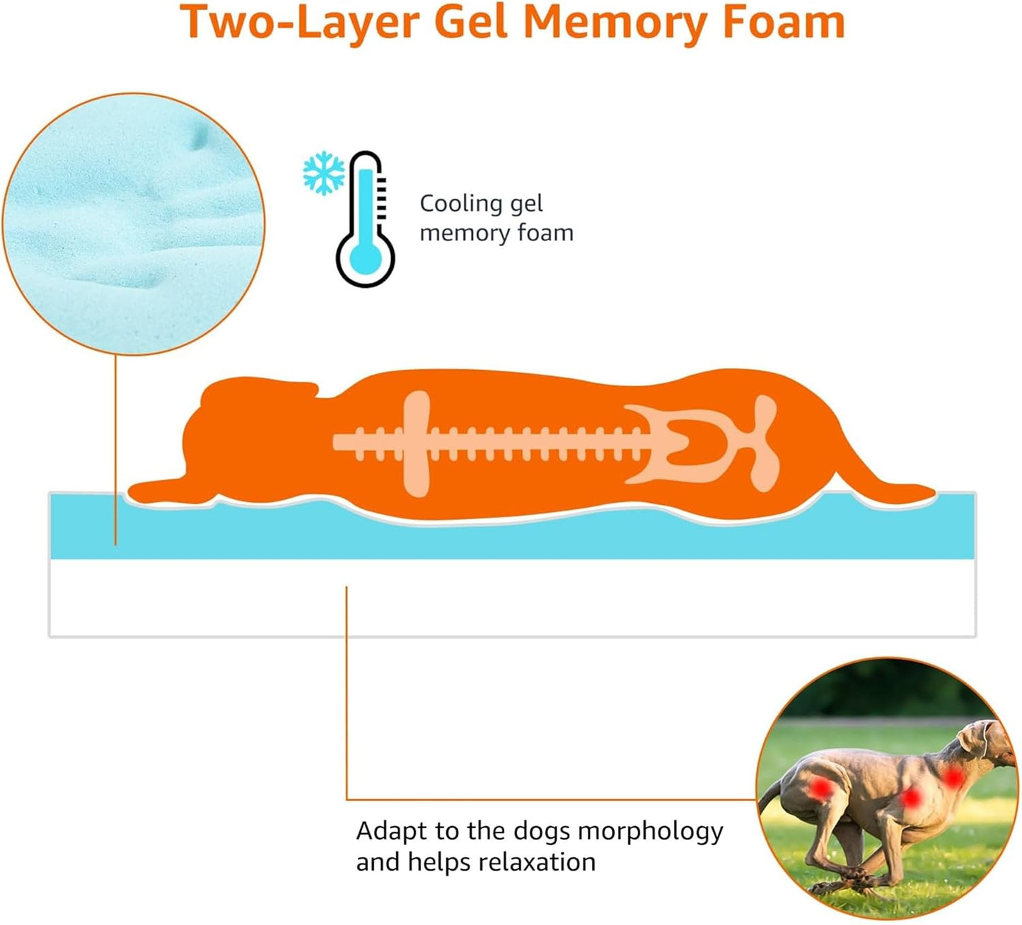 Amazon Basics Dog Bed with Cooling Gel Memory Foam, Machine Washable R