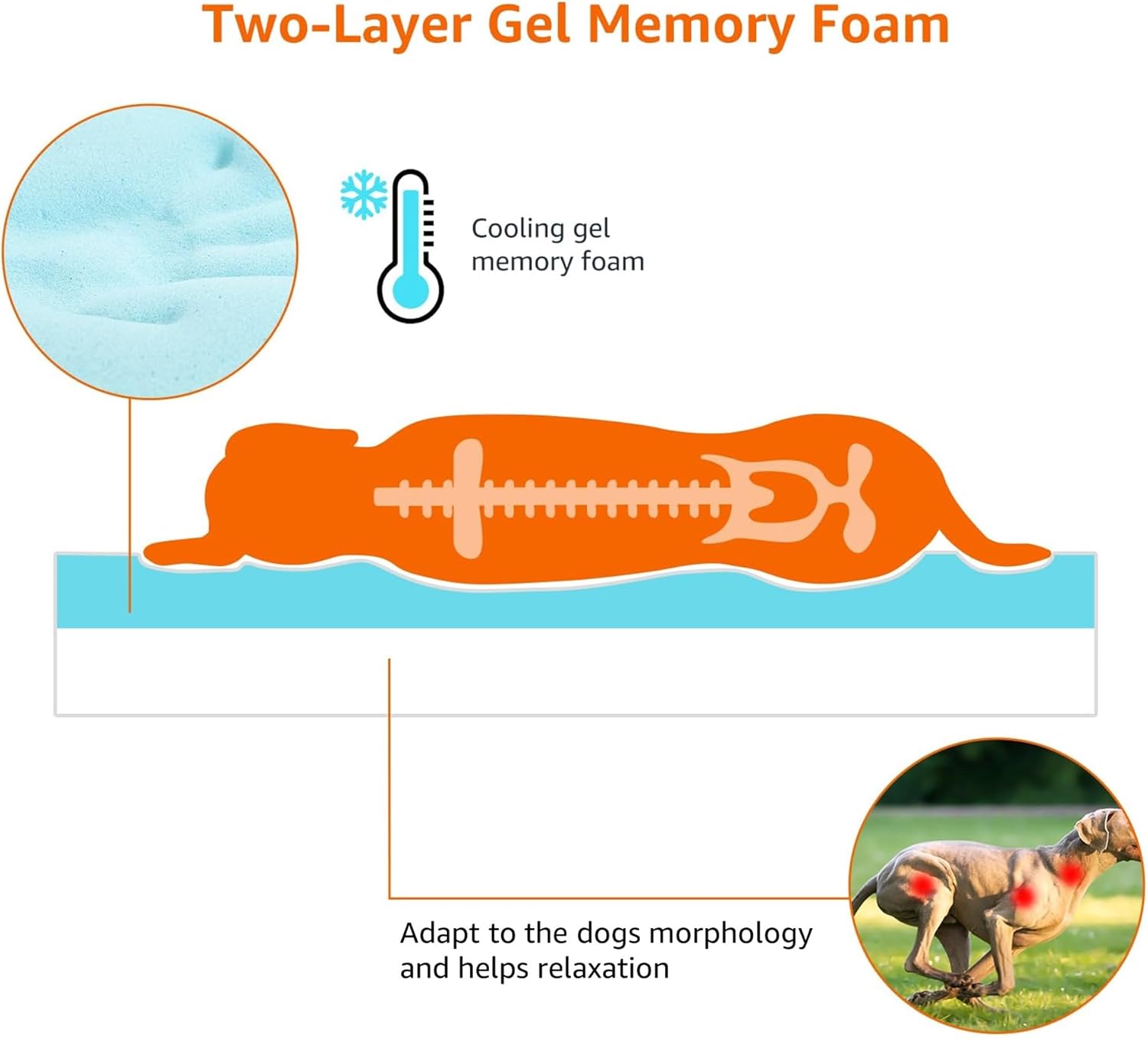 Amazon Basics Dog Bed with Cooling Gel Memory Foam, Machine Washable R