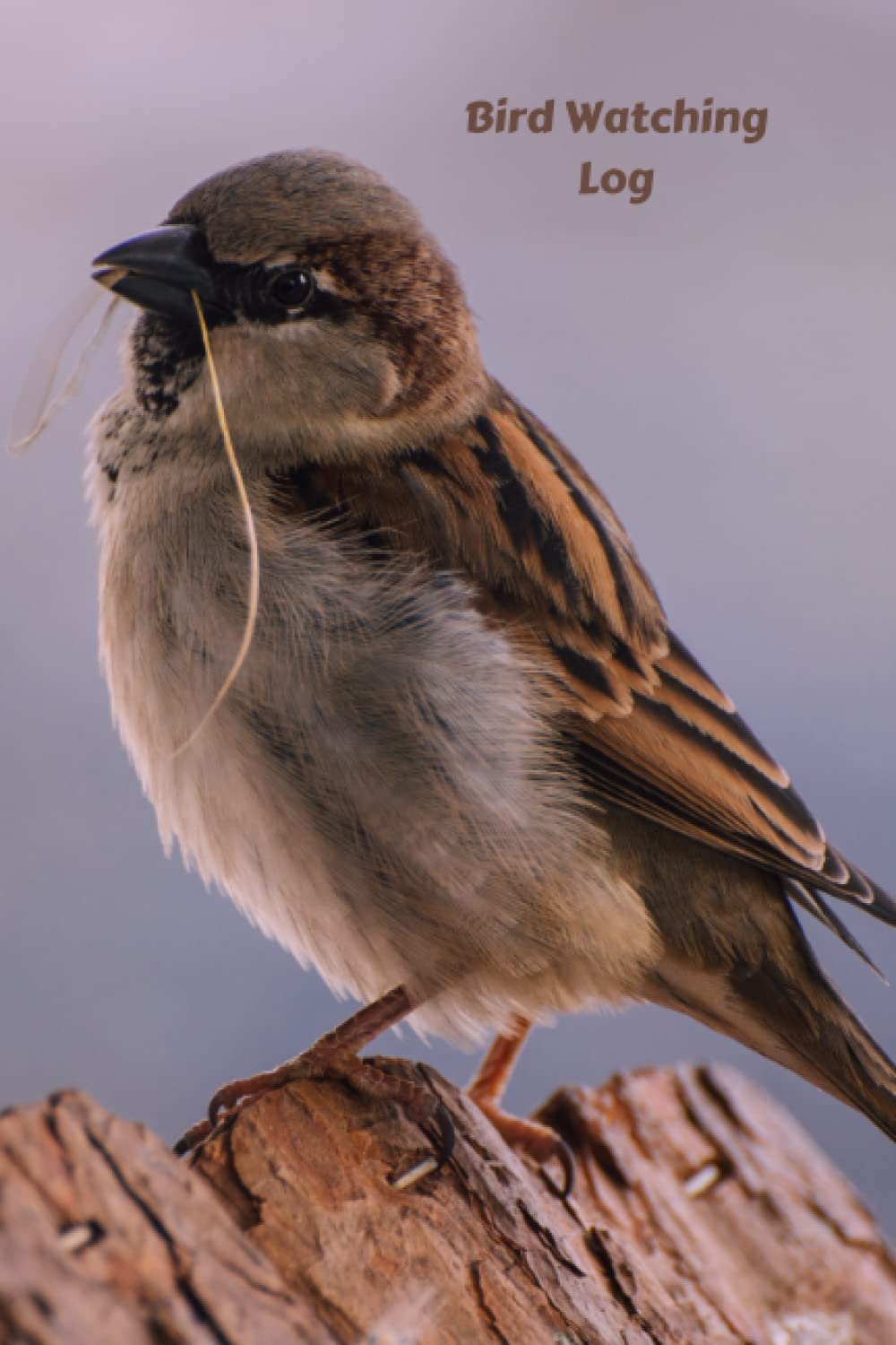 Bird Watching Log: Birdwatching Journal | Birder’s Log Book | Birdwatching Diary, Notebook | 6”X9”, 105 pages, Document Your Bird Watching Activities