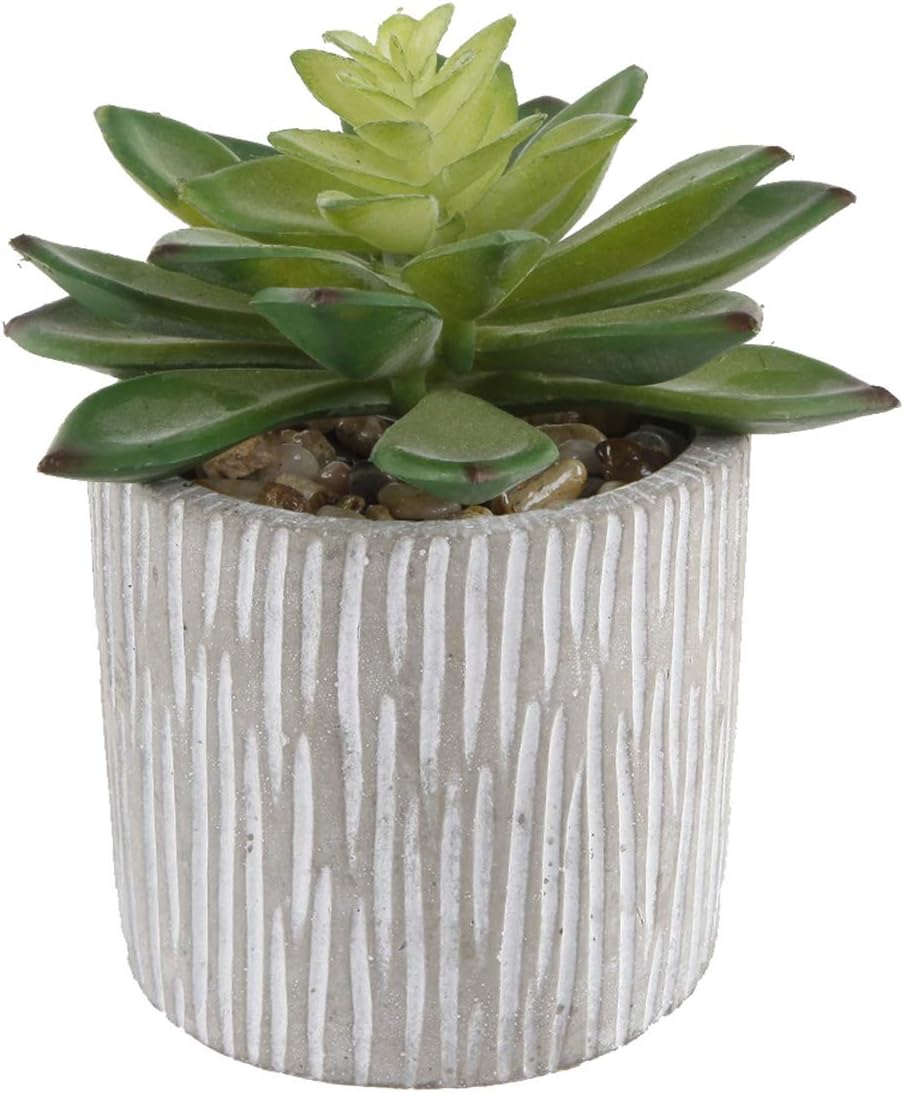 Flora Bunda Mid Century Artificial Plants Cactus Set of 2 Artificial Succulent in 3" Cement Pot Grey Planter, 2 Fake Potted Plants, for Home Office Decorations