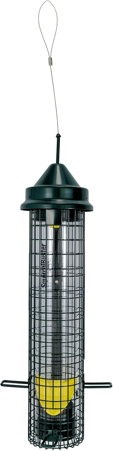 Squirrel Buster® Nyjer® – Squirrel-Proof Nyjer®/Thistle 2.4-pound Seed Capacity Feeder w/8 Feeding Ports & 4 Perches, Easy Fill & Clean, Durable Outdoor Feeder for Finches, Goldfinches & Small Birds