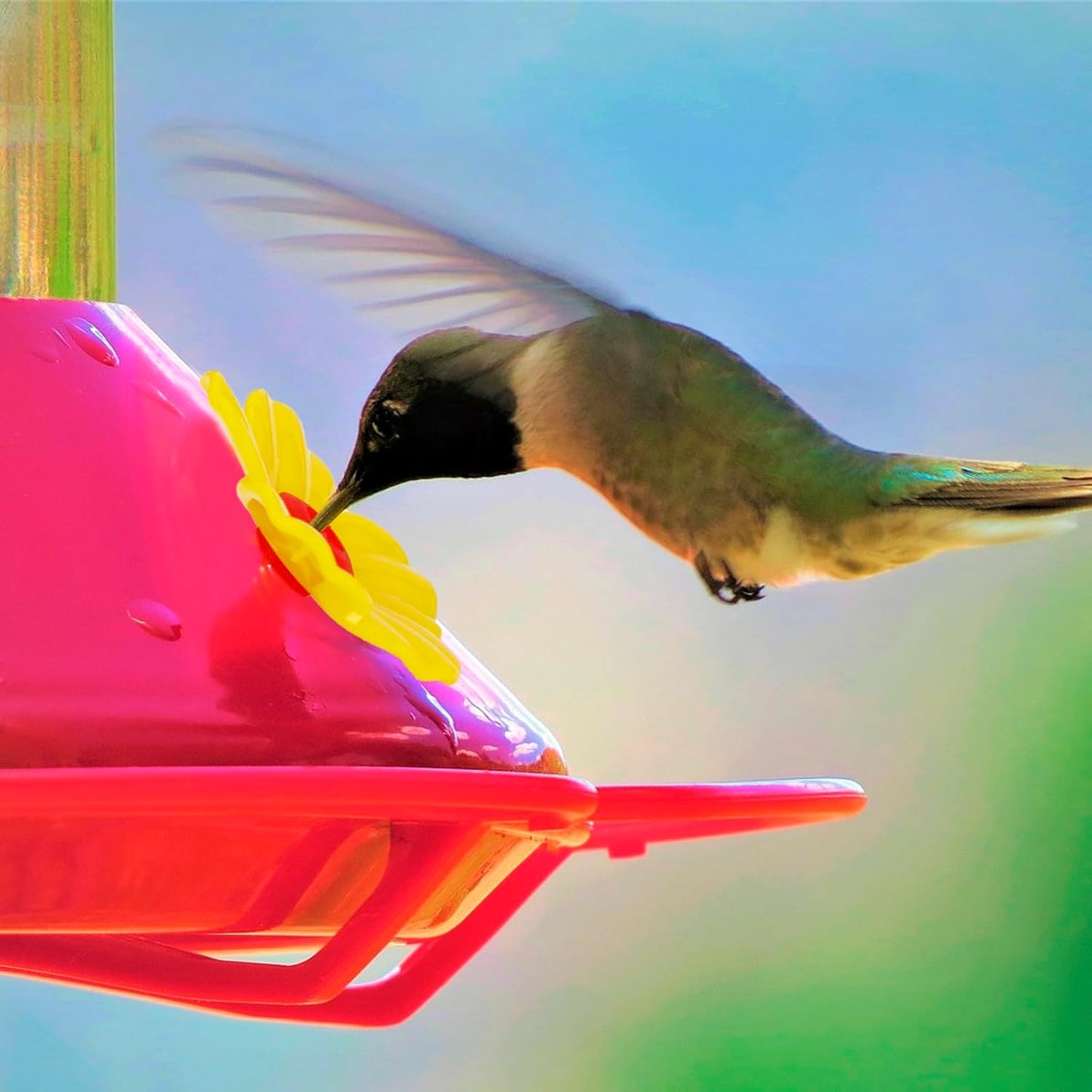 30Pcs Hummingbird Feeder Parts,Cleaning Brush Hummingbird Feeder for Hanging Feeding Hummingbird Outdoors, 3 Colors (White, Yellow, Red)