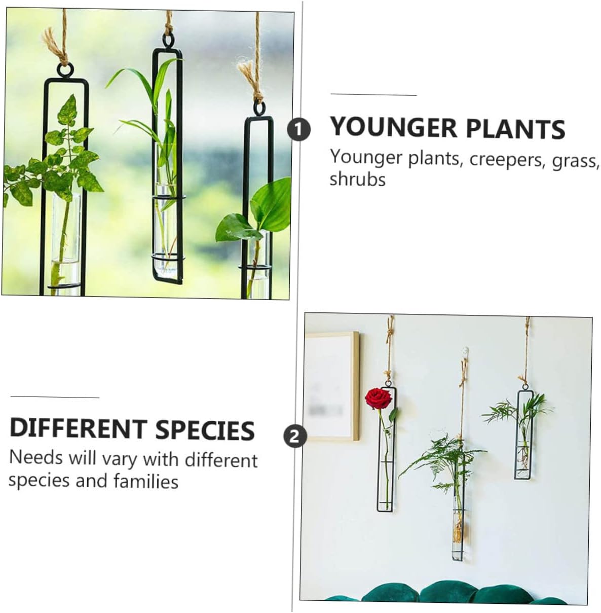 Glass Hanging Planter Tubes Iron Art Hydroponic Vase for and Garden De