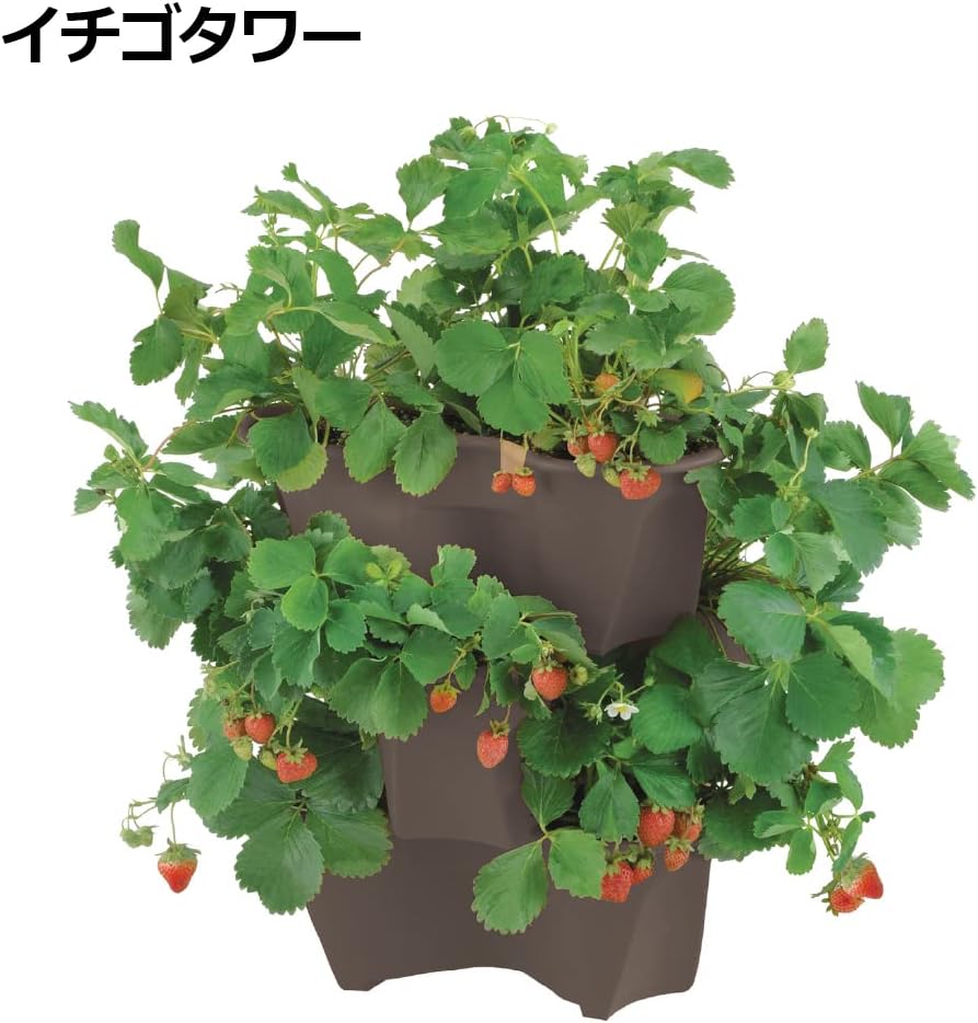 Richell Harberry Pot Type 52 N Dark Brown