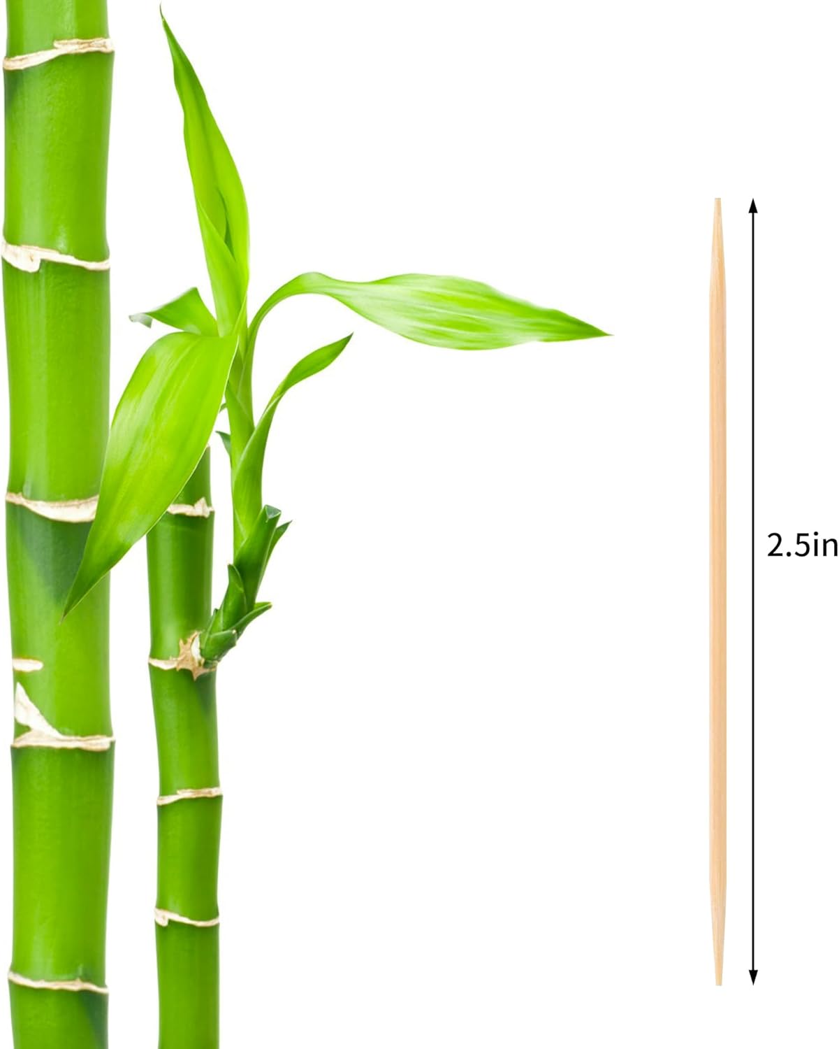 1000 Count Bamboo Toothpicks Barbecue, Fruits And Teeth Cleaning - Round Double-Pointed Wooden Toothpicks, For Appetizers,Olives
