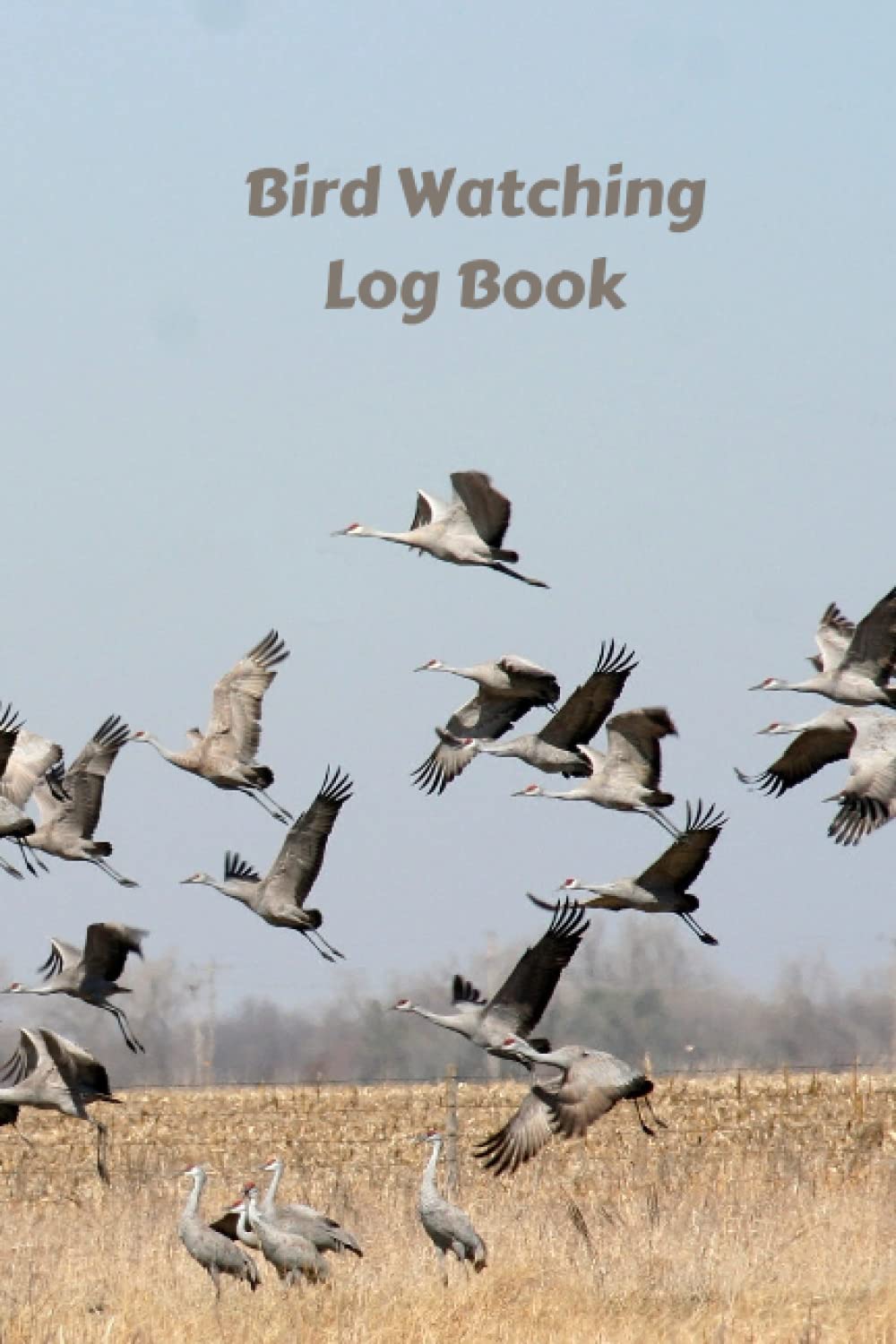 Bird Watching Log Book: Birdwatching Journal | Birder’s Log Book | Birdwatching Diary, Notebook | 6”X9”, 105 pages, Document Your Bird Watching Activities