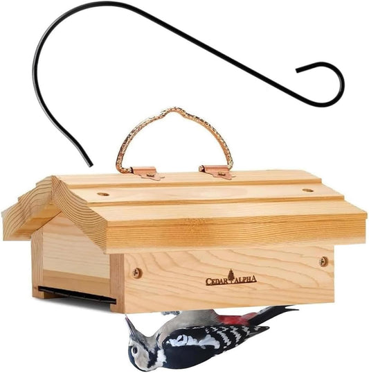 Upside Down Suet Feeder + Large Tree Hanger - Wild Bird Feeder with Ra