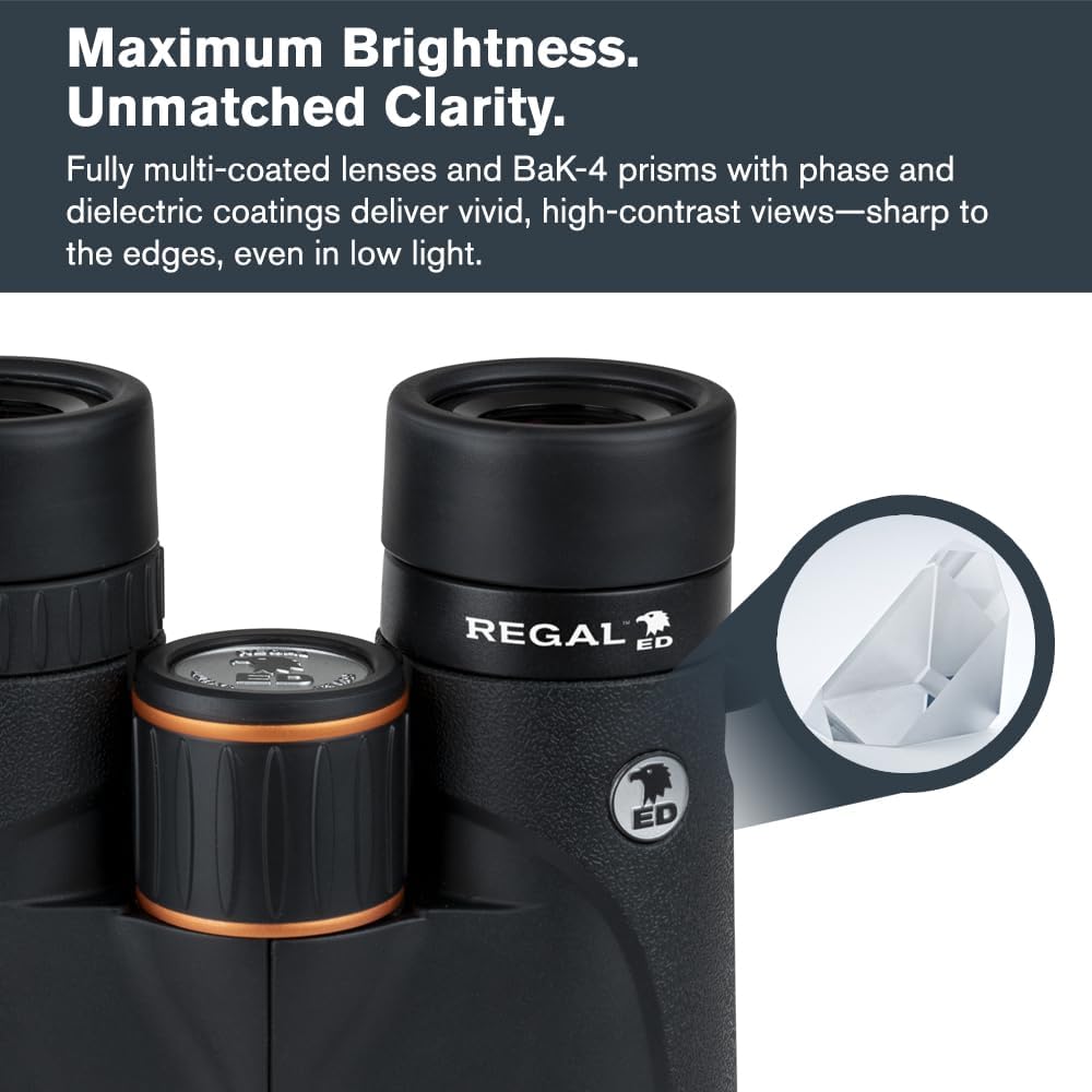 Celestron – Regal ED 8x42 Binoculars – Premium Optics for Birding, Hunting & Outdoor Use – Phase & Dielectric Coated BaK-4 Prisms – Fully Multi-Coated Glass – 4.9 ft Close Focus
