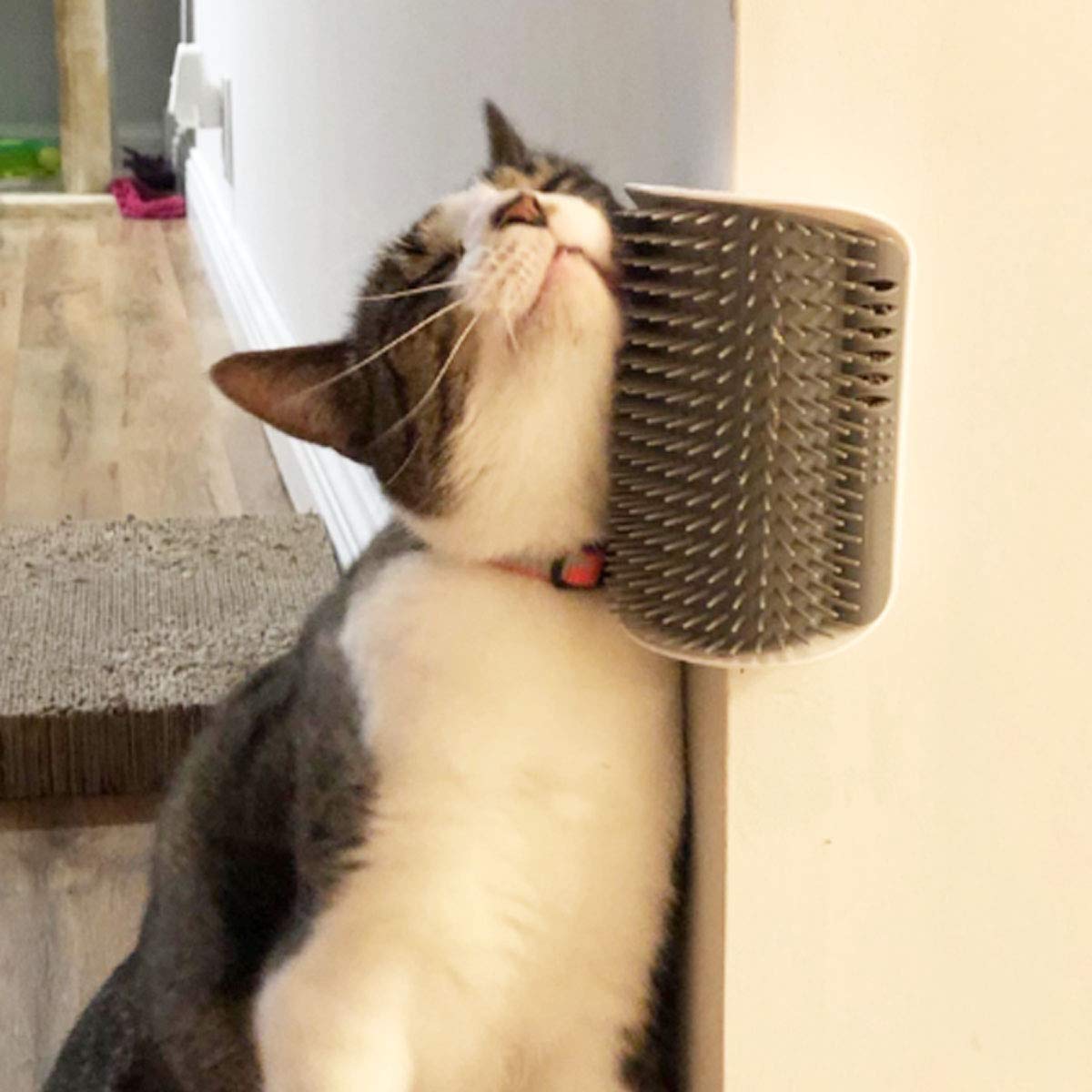 2 Pack Softer Self Groomer with Catnip Wall Corner Massage Comb Scratc