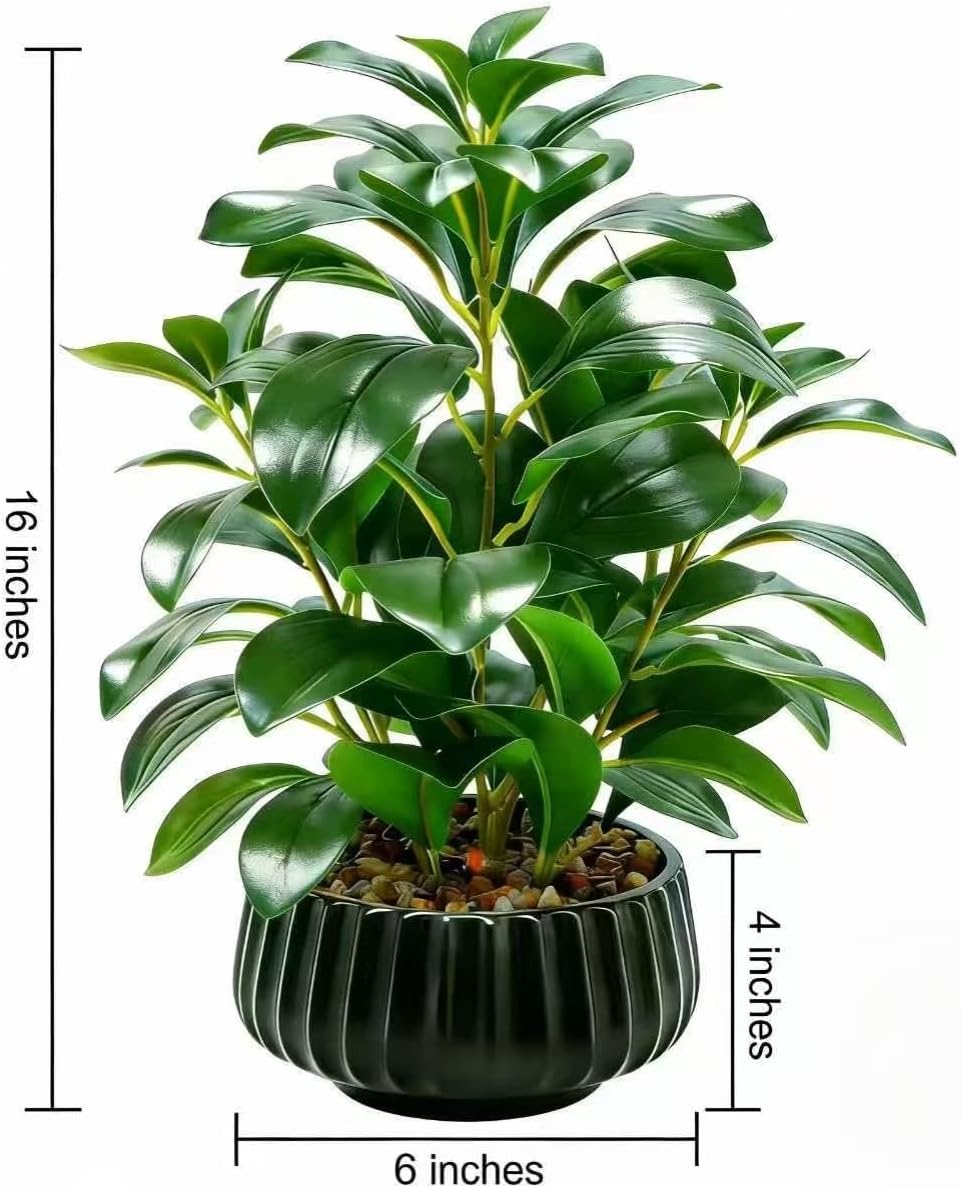 16" Artificial Peperomia Potted Plant in Black Ribbed Ceramic Planter Realistic Faux Green Leaves Tabletop Branches for Indoor Home Office Living Room Shelf Desk Decor