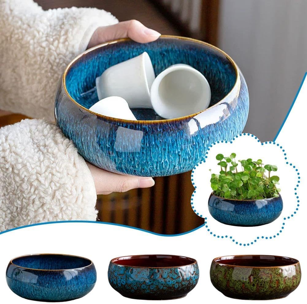 Lotus Bowl Planter for Indoor Water Planting - Hydroponic Container wi