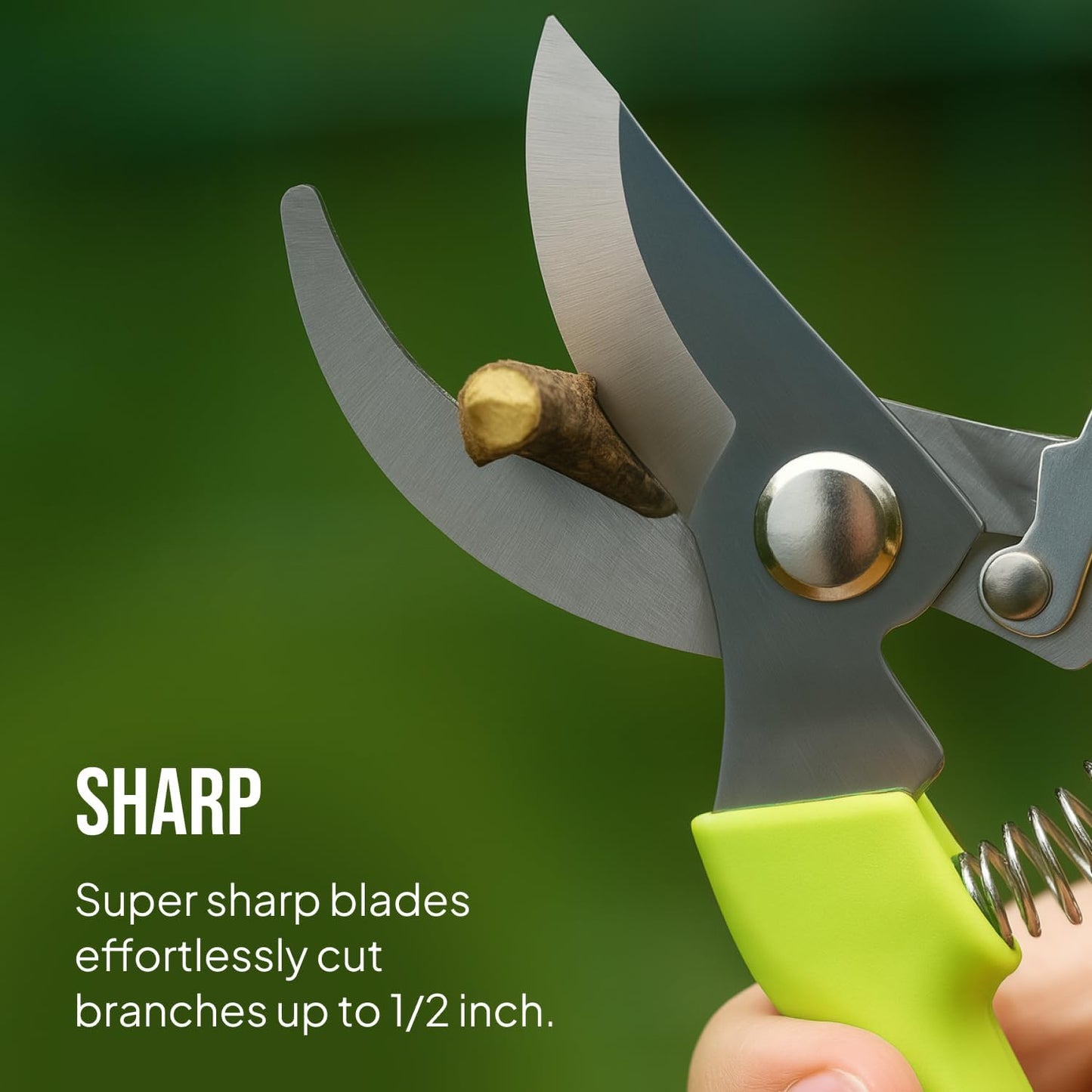 2-Pack Stainless Steel Gardening Scissors, Pruning Shears and Clippers