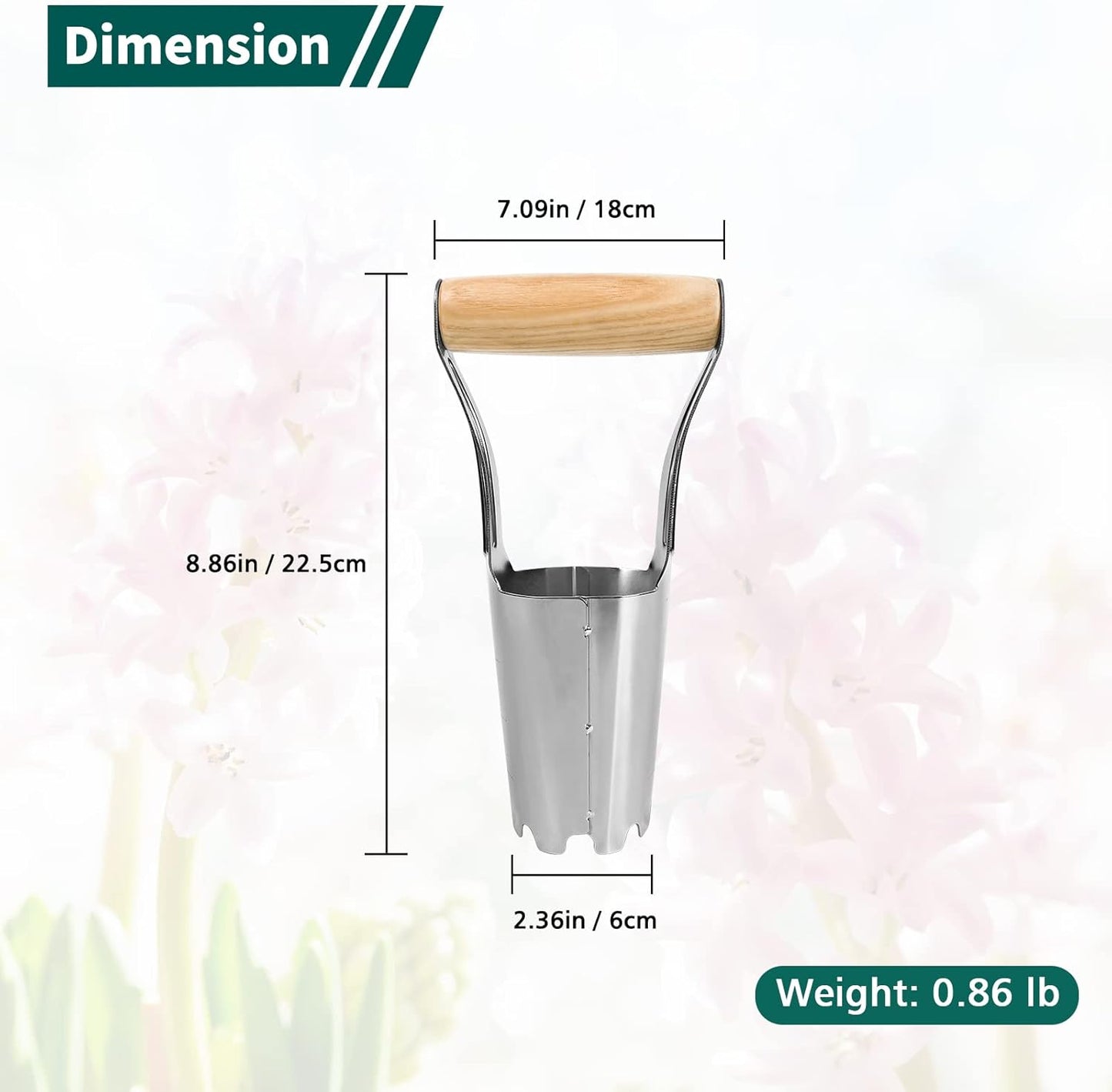 Berry&Bird Garden Bulb Planter with 4 Inches Depth Mark, Stainless Steel Gardening Bulb Transplanter Tool with Short Handle for Planting Flowers Tulips, Daffodils, Lily, Dahlias