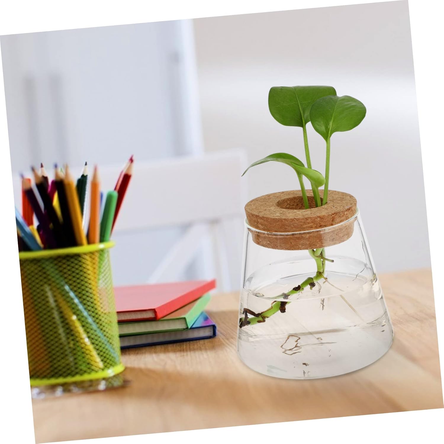BESTOYARD 8pcs Glass Hydroponics Planter for Desktop Decoration Elegan
