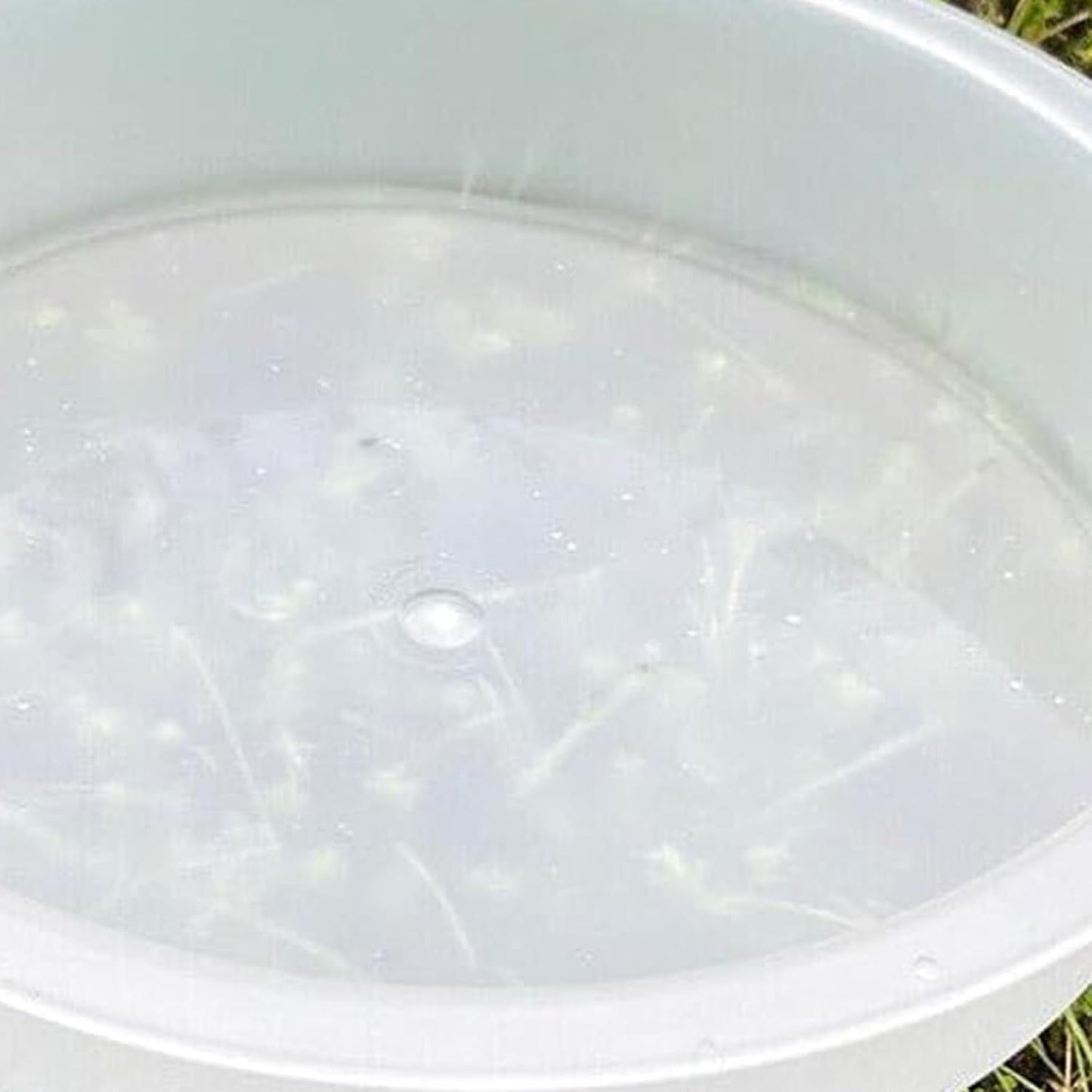 Round Bird Feeder, Water Feeding Tray, Replacement Dish Accessory for Sparrow Finch Lovebird Garden Park Courtyard Terrace Outdoor Deck Balcony Backyard Pet Bird Care Supplies