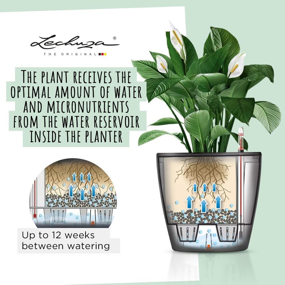 Lechuza Self Watering Plant Pot Classico 21 LS Garden Flower Indoor Ou