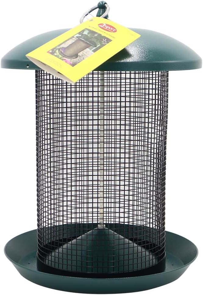 Zenport Z203010 Hanging Bird Seed Screen Feeder