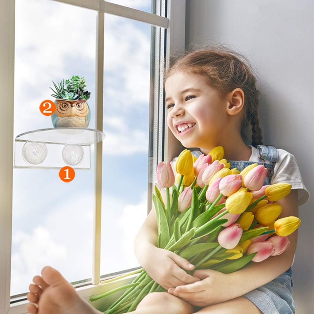 Suction Cup Window Shelf – Create Indoor Garden Hold Your Planter Pots Starter Figurines On Your Window