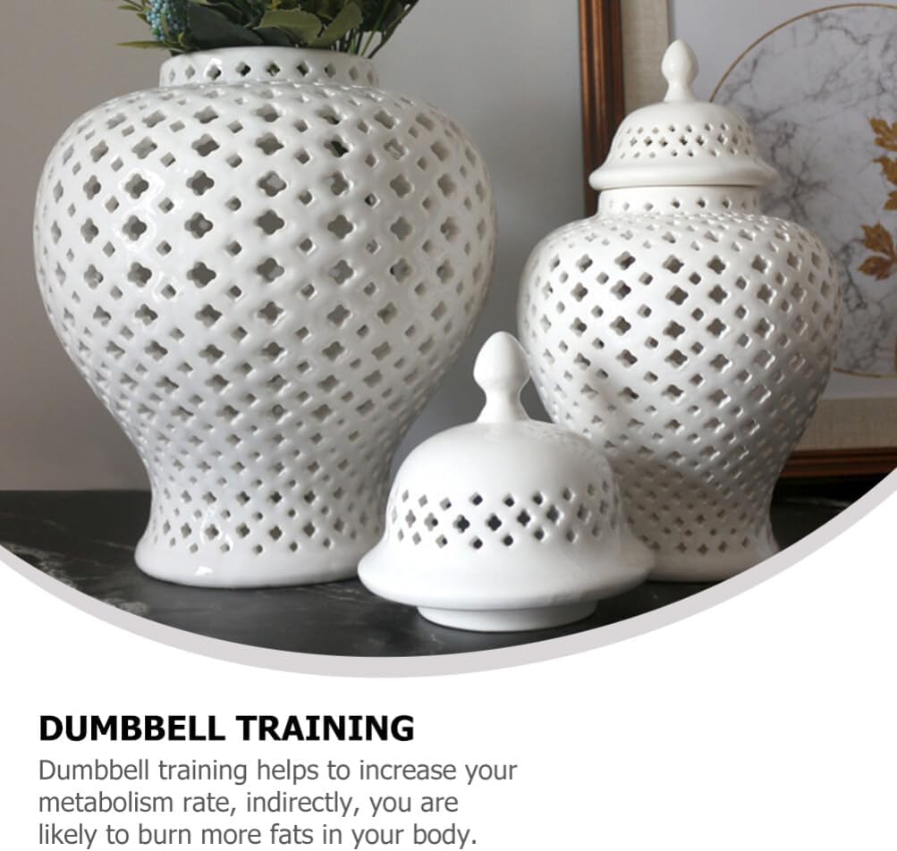 VOSAREA Ginger Jar Traditional Pierced Ginger Jar with Lid Ceramic Vase Carved Lattice Decorative Temple Jar White Ginger Jars for Home Decor
