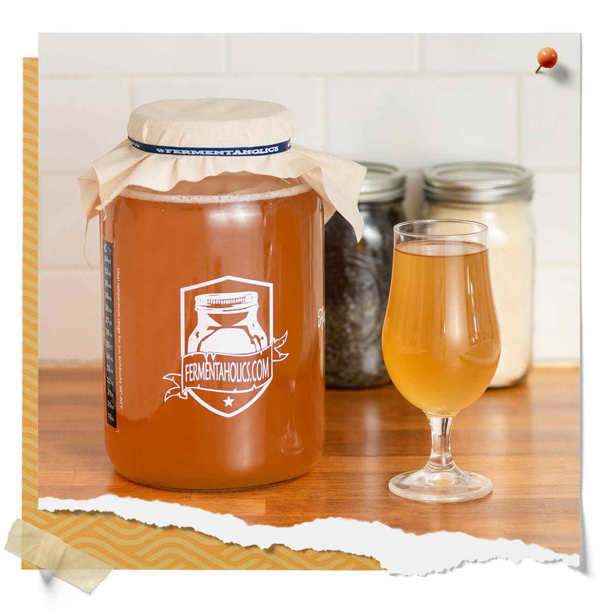 Fermentaholics ORGANIC Kombucha SCOBY With Twelve Ounces of Starter Tea - Live Starter Culture - Makes A One Gallon Batch - 1.5 Cups of Strong Mature Starter Tea - Brew Your Own Kombucha (1 Pack, 1, Count)
