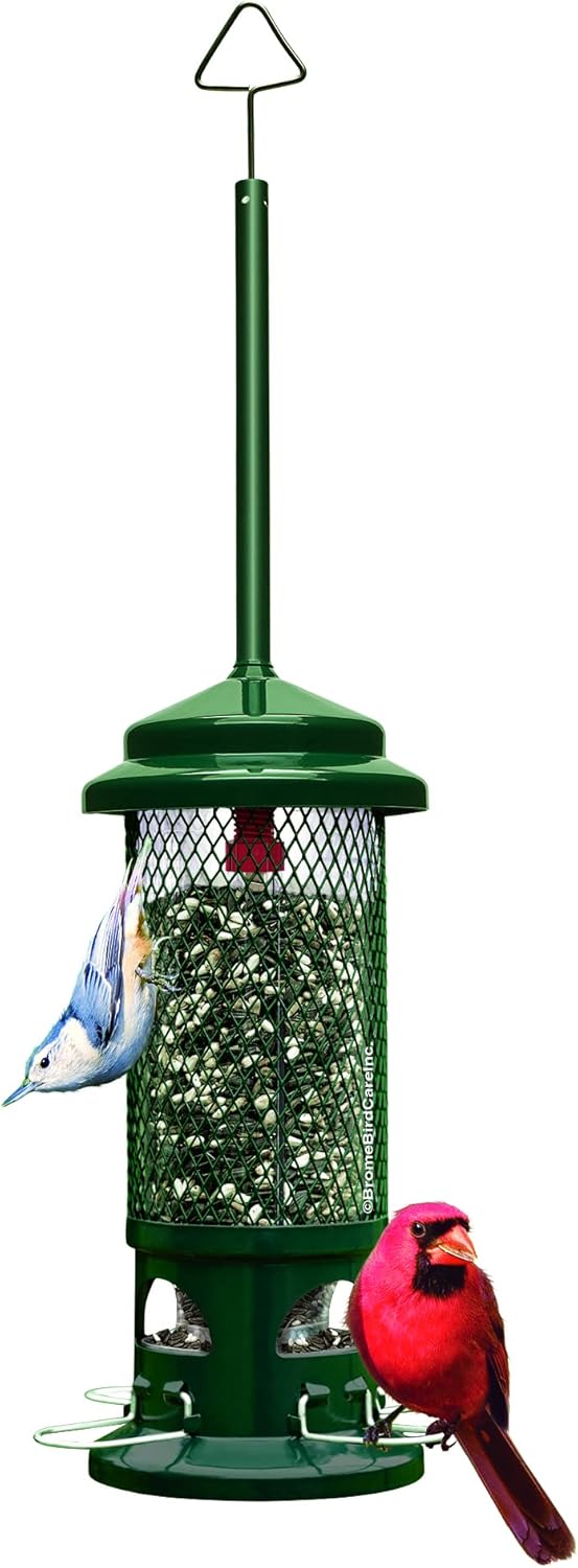 Squirrel Buster Suet Squirrel-Proof Suet Bird Feeder w/2 Suet Cake Tra