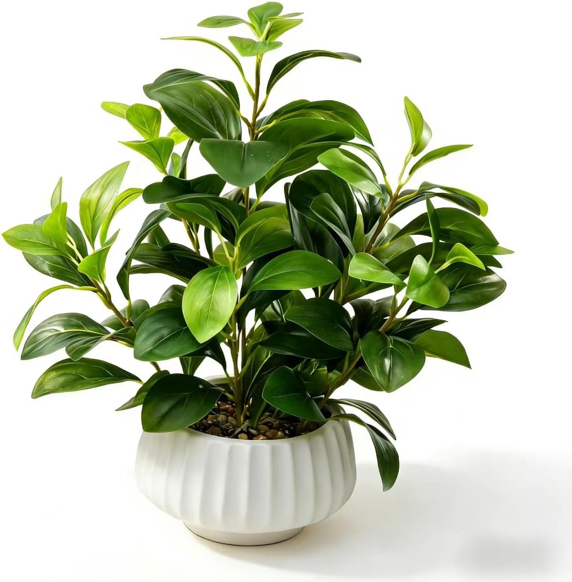 Artificial Peperomia Plant 16.5” Tall Lifelike Faux Greenery in 6” White Ribbed Ceramic Pot Realistic Indoor Fake Branches for Home Office Desk Shelf Bathroom Bedroom Farmhouse Decor