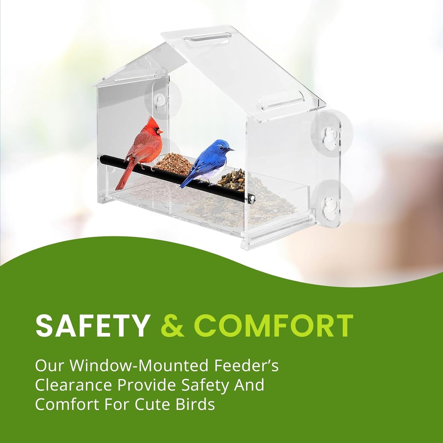 Nature Gear Window Bird Feeder with Strong Suction Cups, Clear Acrylic