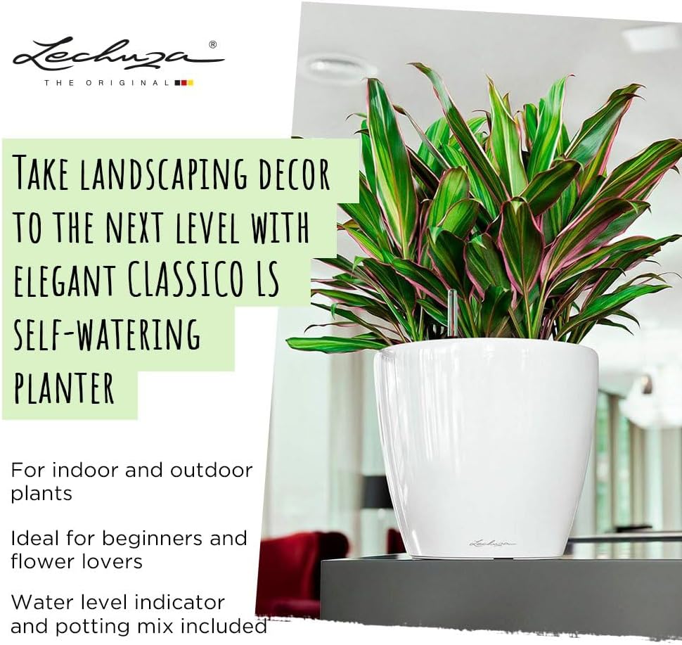 Lechuza Self Watering Plant Pot Classico 21 LS Garden Flower Indoor Ou