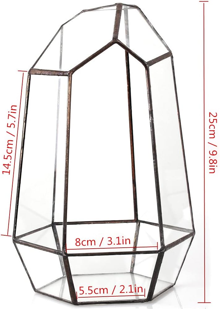 NCYP No Door Geometric Glass Terrarium Planter for Small Succulent, Small Cacti, Black Irregular Opened Terrarium Pot, Indoor Home Garden Office Tabletop Decor, 6.5" x 5.7" x 9.8" (No Plants)
