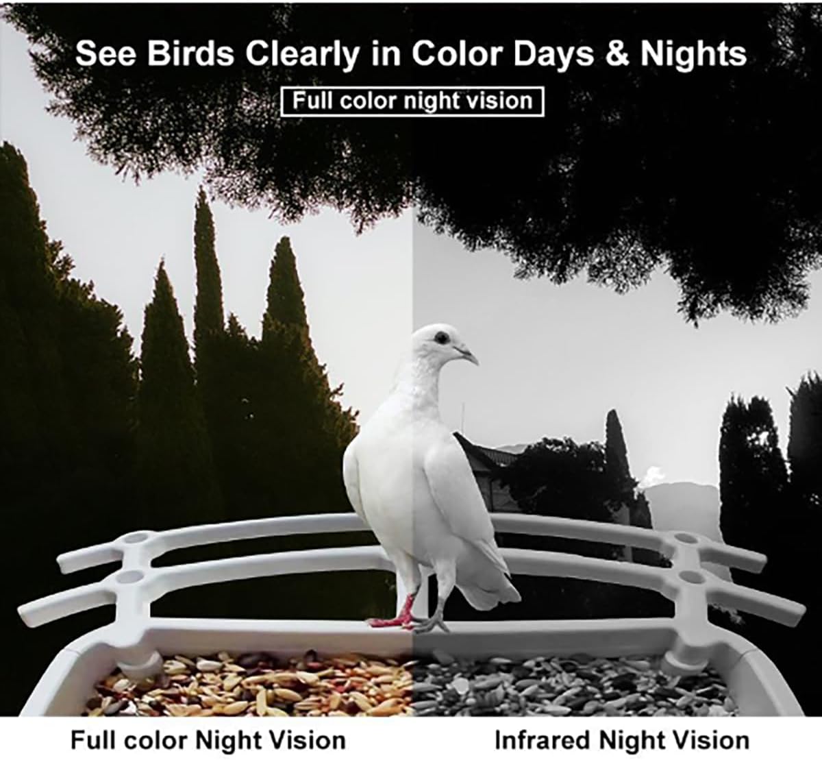 Smart Bird Feeder with Camera, AI Bird Species Identification, Solar P