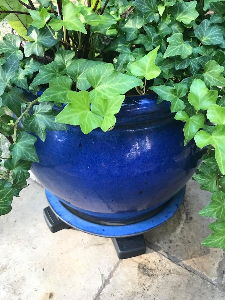 Bosmere 14" Plant Caddie - Heavy-Duty Rolling Plant Stand with Locking