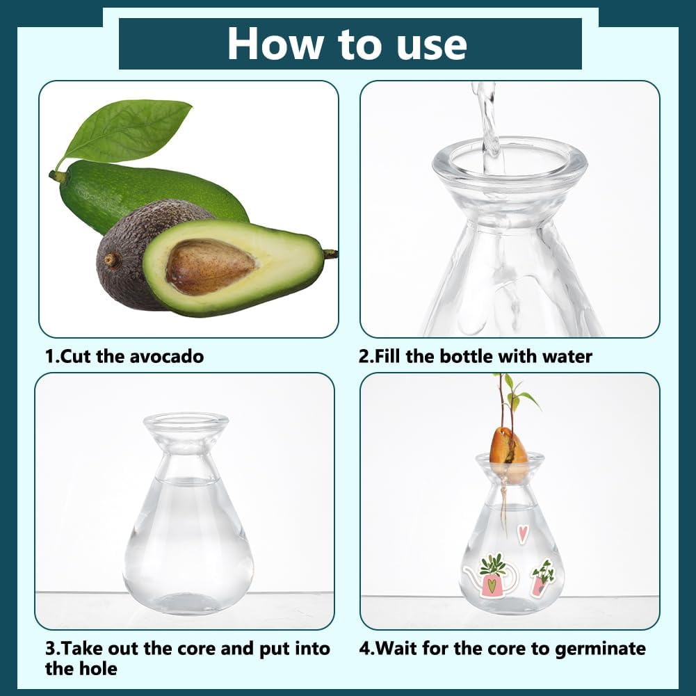 NBEADS 4 Pcs Avocado Seed Starter Vases, Clear Glass Avocado Growing Pot Plant Germination Vases for Growing Acorn Seeds Herbs Bulbs Indoor Plant Gardening Lover