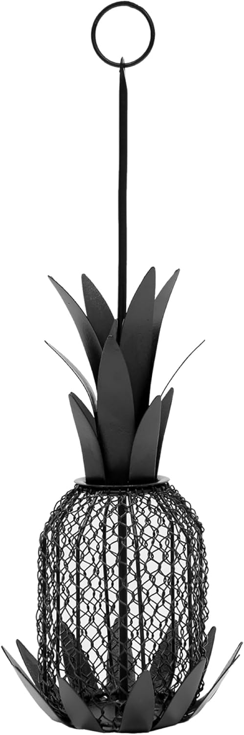 Pineapple Bird Feeder