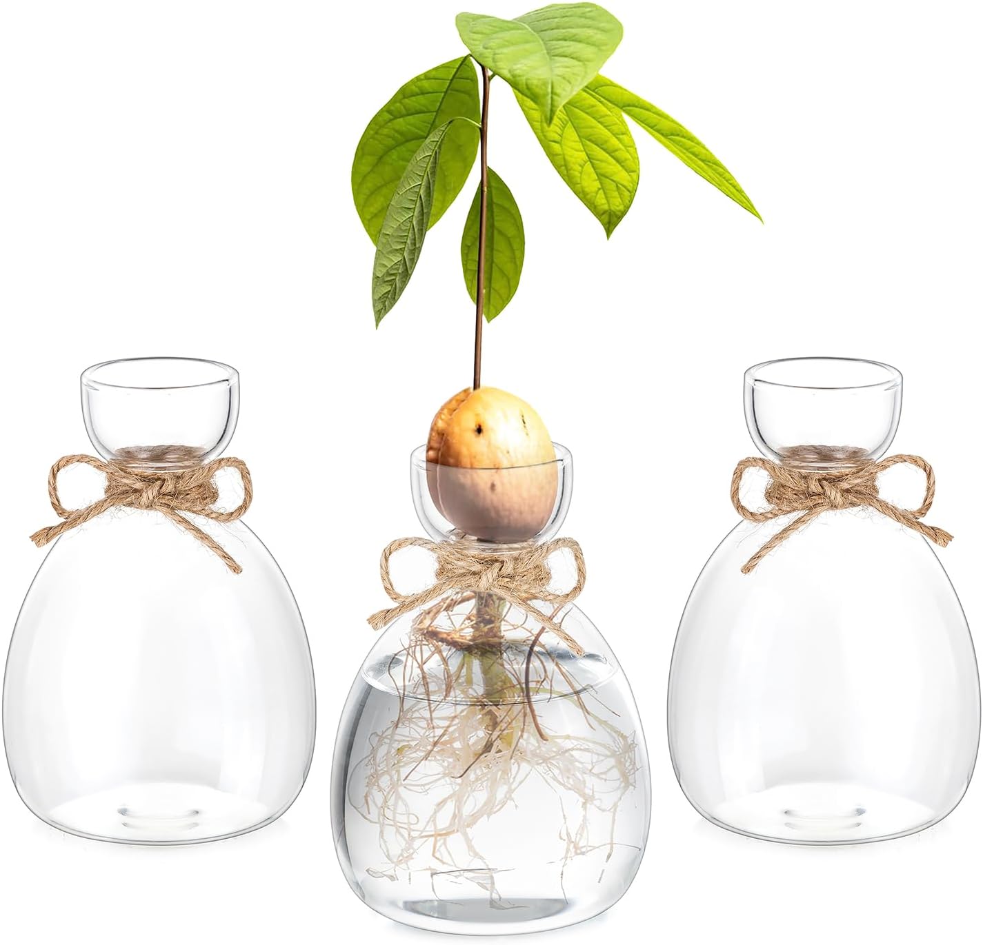 Hewory Avocado Seed Starter Vase: 3 Pcs Glass Avocado Tree Growing Kit Pot for Indoor Plant - Rustic Acorn Vases for Plant Gardening Lovers