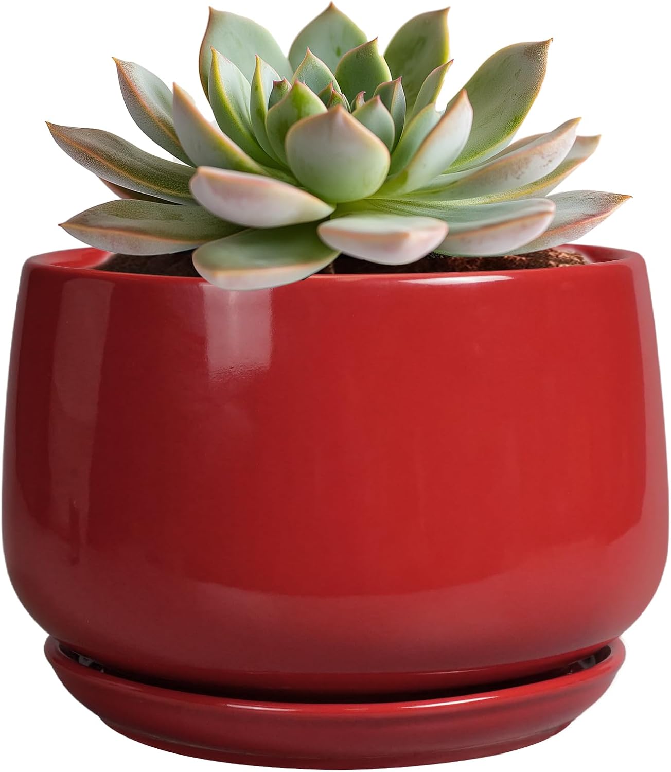 G EPGardening Ceramic Pot for Plants - 6 Inch Plant Pot with Drainage 
