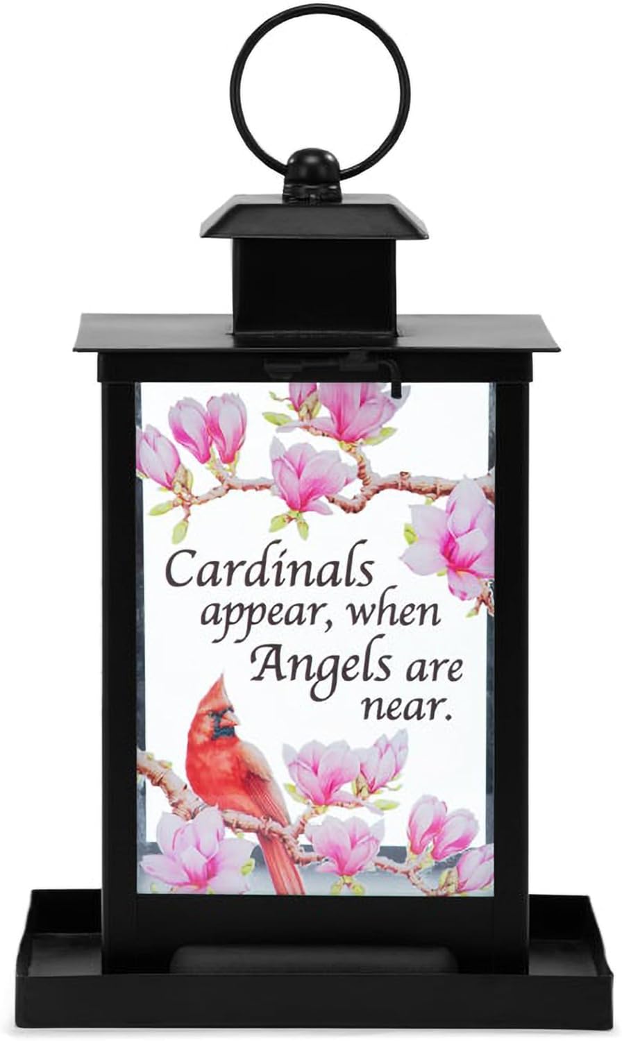 Napco Cardinal Birds Appear When Angels are Near Memorial Bird Feeder Lantern Outdoor Sympathy Gift with Cardinal & Magnolia Design – Bereavement Garden Décor & Remembrance Keepsake