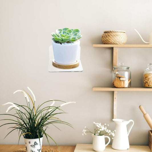 Wall Planter Display Rack Acrylic Floating Shelf Adhesive Small Window