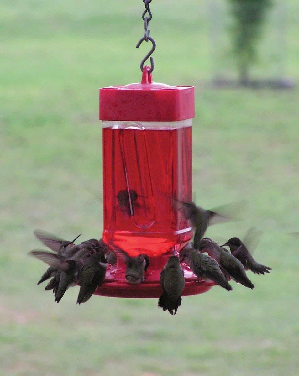 First Nature Hummingbird Feeders 32-Ounce 2-Pack
