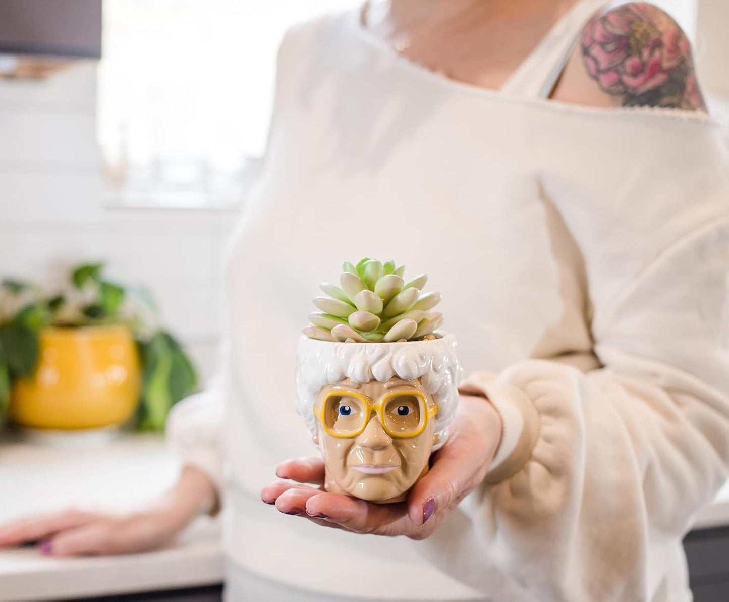 Silver Buffalo The Golden Girls Sophia Face Mini Ceramic Planter Decor | Official TV Show Collectible | Small Flower Pot for Indoor Plants, Includes Artificial Succulent | 3 Inches