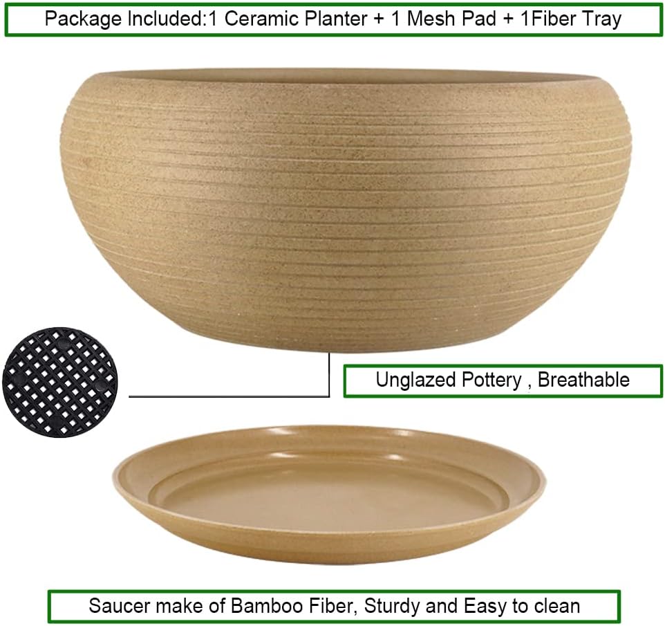 MUZHI 9.5” Round Large Ceramic Bonsai Bowl Planter，Clay Succulent Plant Pot Container with Saucer