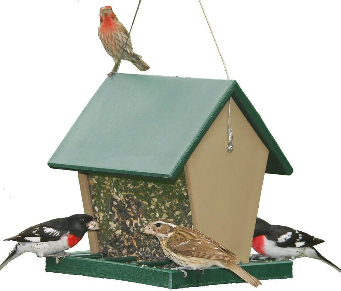 Songbird Essentials SERUBHF75 Recycled Plastic Large Hopper Feeder
