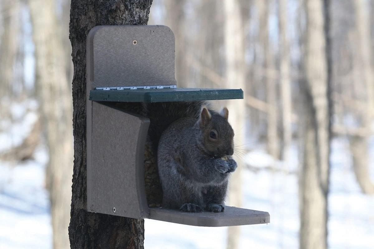 Birds Choice SNSQ Recycled Squirrel Munch Box, Squirrel Feeders, 7-3/16"L X 12-3/8"W X 11-5/8"H, Taupe w/ Green Roof