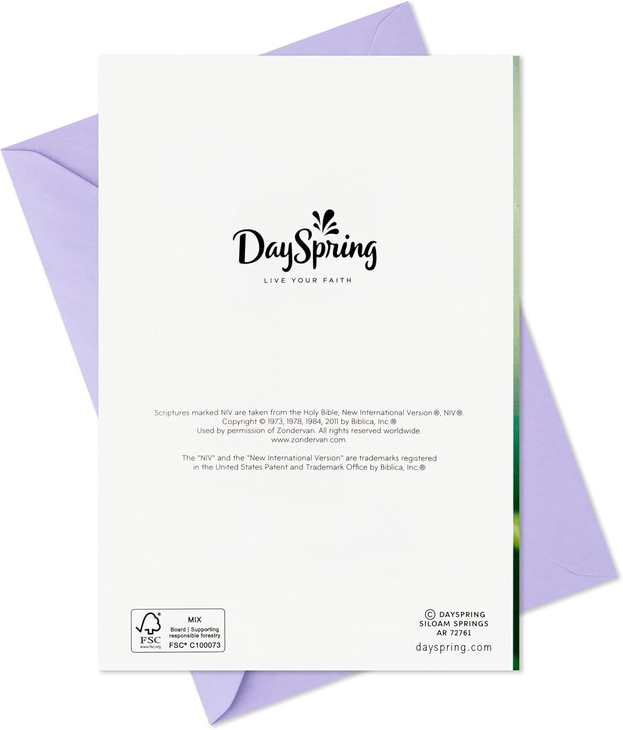 DaySpring Religious Easter Cards Assortment (16 Cards with Envelopes, 4 Designs) Tulip, Lily, Butterfly, Nature