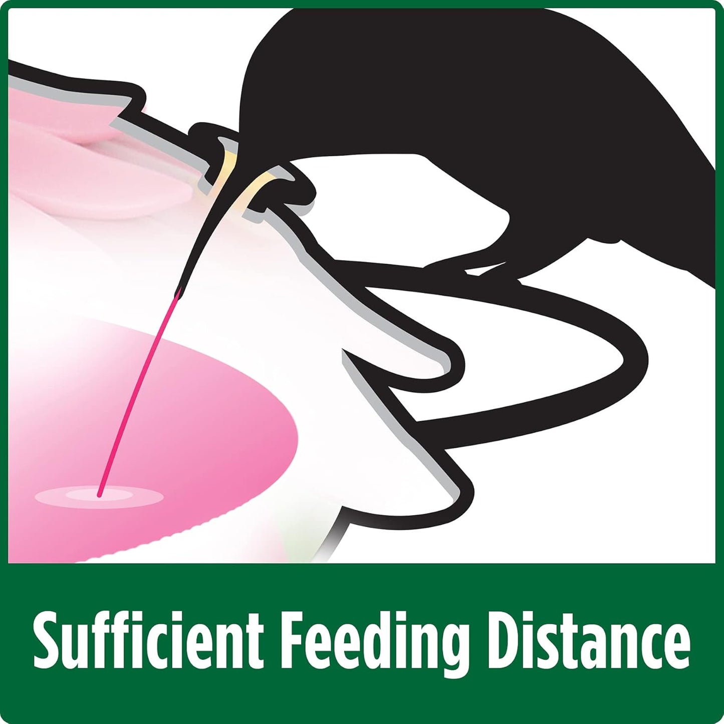 Nature's Way Bird Products SFHF2 So Real Single Flower Hummingbird Feeder, Purple, 4" Dia.