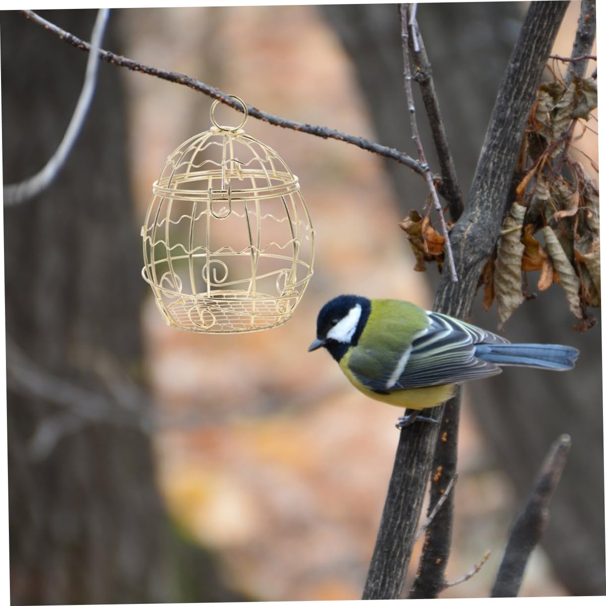 Milisten 4pcs Retro Hanging Bird Feeders Windproof Metal Wild Bird Food Container for Attracting Goldfinches Sparrows and Finches for Outdoor Spaces